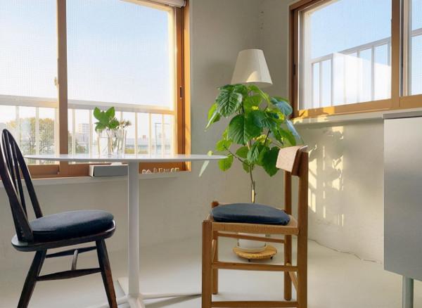 35㎡老破小爆改神作！裝下兩個書房、植物園、三分離衛生間