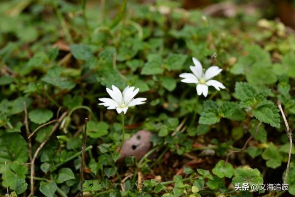 無限風光在險峰——登烏隆普山