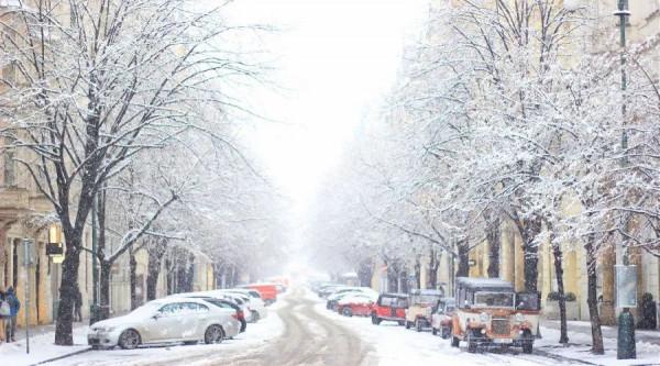 夜讀丨大雪:雪染傾城,冬來無恙 夜讀丨大雪:雪染傾城,冬來無恙