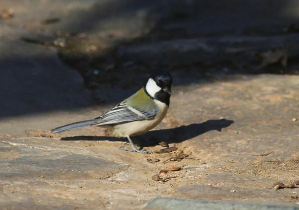 新年伊始，永珍更新，您好2022