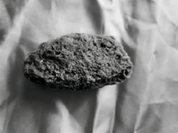 唐僧死後結局:日寇挖開墓葬,頭骨裂成3塊,中國只留下一塊 唐僧死後結局:日寇挖開墓葬,頭骨裂成3塊,中國只留下一塊