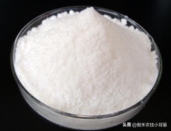 蕓薹素內酯、胺鮮酯、復硝酚鈉，作用看似差不多，但實際差別很大