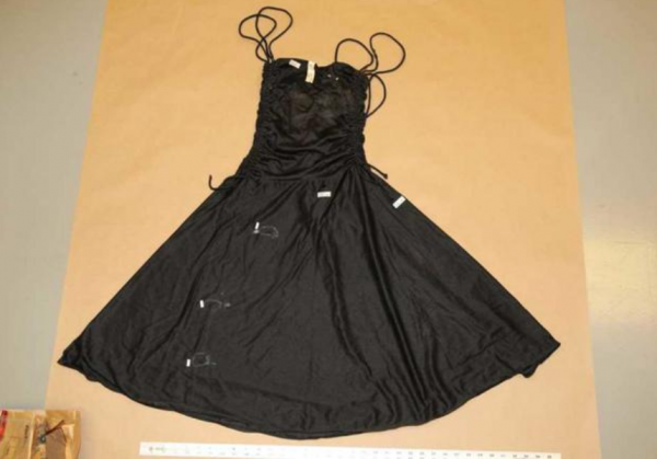 79年美國18歲女孩身中29刀遇害，父子警察調查39年憑血跡抓到真兇