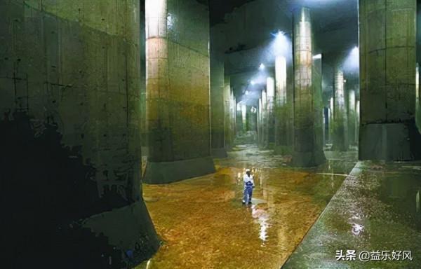 奇異志 黑心賊抓毒蛇險些喪命，捕蛇者巧施計引蛇出洞