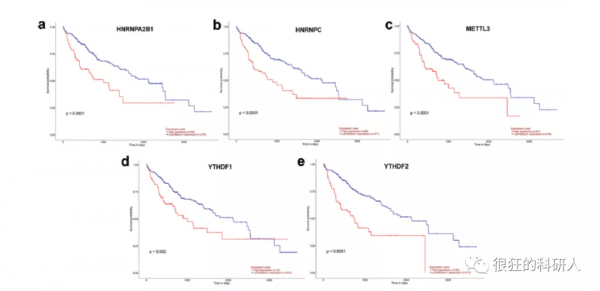爛大街的純生信只要這樣打扮一下就可以得到期刊的青睞