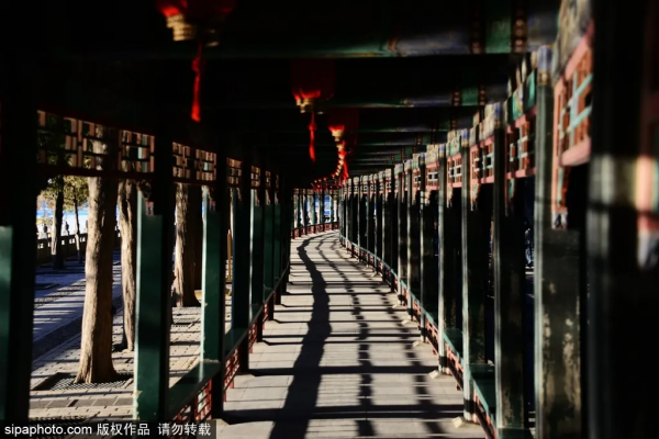 頻上熱搜！地鐵直達的冬日絕美景色！一定要來打卡！