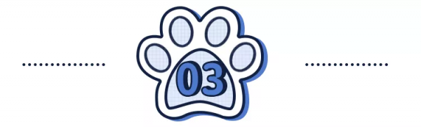 貓狗一直掉毛，兇手竟是我自己？