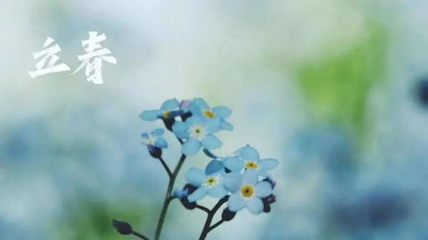 假期最後一天，軍醫為你奉上養生小貼士