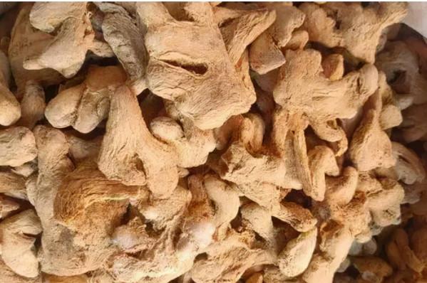 【馬博士聊本草】女科要藥（六）：姜的故事——神奇的姜