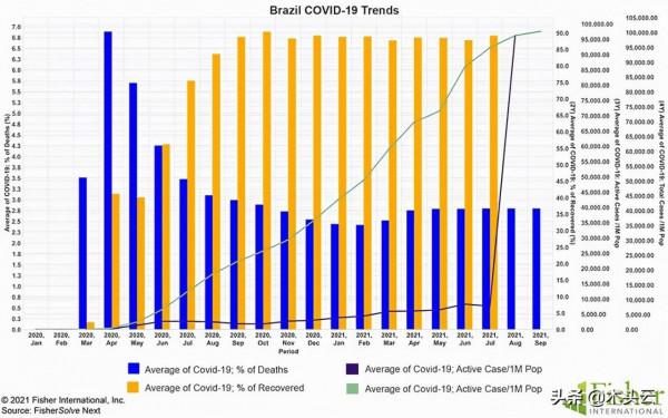 巴西從紙巾進口國轉變為紙巾出口國 巴西從紙巾進口國轉變為紙巾出口國