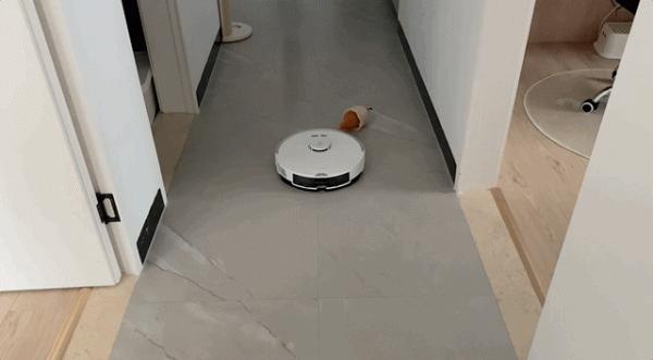 三大優勢盡顯強勢，智慧時代想要更加輕鬆，石頭G10不可缺少