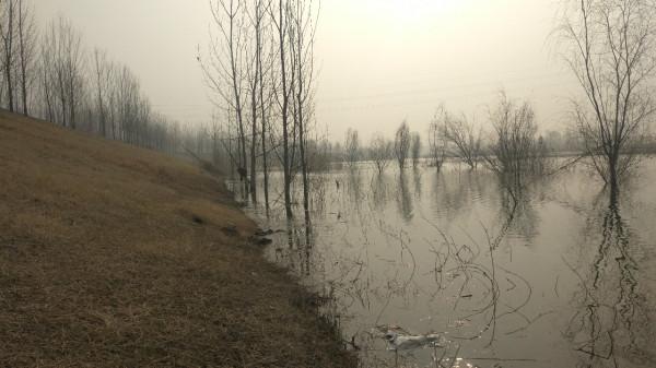 節後首釣喜獲大板鯽，高興之餘有點遺憾