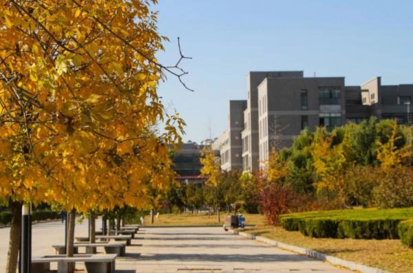 山東雙一流建設，山師山農自力更生，臨大麴師得到大力扶持