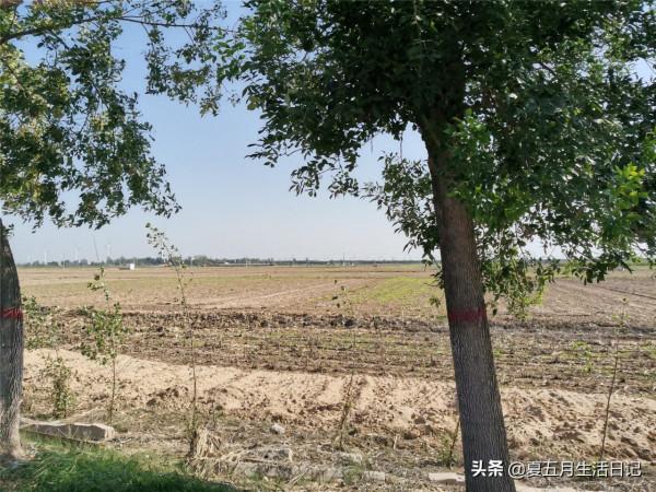 二十年沒去大姑家了,以前坐火車去,現在開電三輪半個多小時就到 二十年沒去大姑家了,以前坐火車去,現在開電三輪半個多小時就到