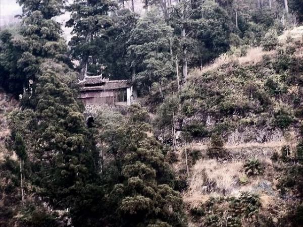 毛主席要粟裕入朝作戰，粟裕因頭痛錯過，後才知他頭裡有3枚彈片