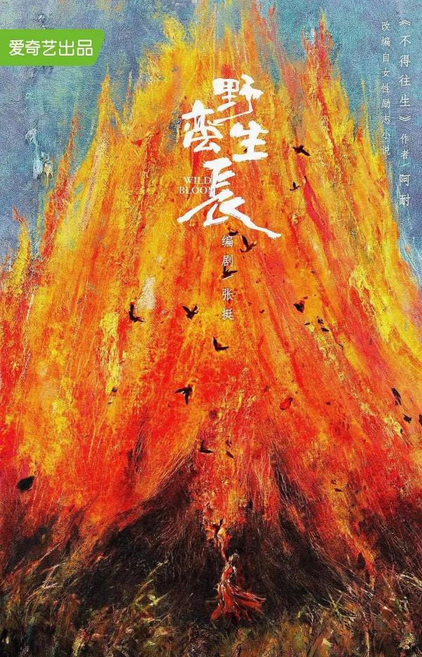 2022即將隆重登場的12部都市劇，趙麗穎、楊冪、譚松韻各佔了2部