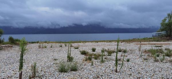 50元一天的撫仙湖岸邊小客棧，15元一公斤的小活蝦，體驗農家野趣