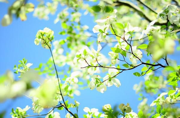 累的時候，看看這些話，會發現人間依然值得