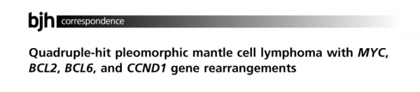 蘇州大學附屬第一醫院黃海雯教授:應用R2-CHOP方案有效治療罕見的四打擊多形性套細胞淋巴瘤的病例報告 蘇州大學附屬第一醫院黃海雯教授:應用R2-CHOP方案有效治療罕見的四打擊多形性套細胞淋巴瘤的病例報告