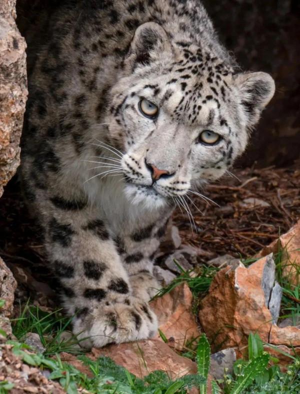 成年人玩得這麼野，小心把命都玩丟了