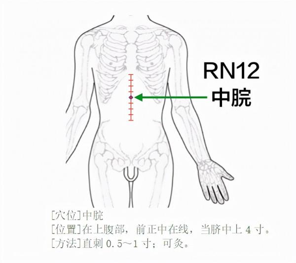 中醫穴位，乾貨知識分享：任脈