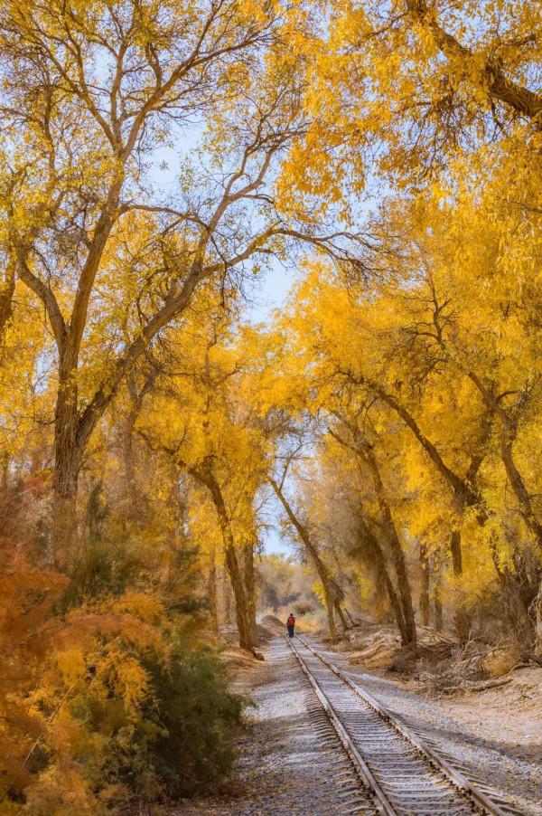 中國最美的50個地方,我竟然只去過10個,你呢? 中國最美的50個地方,我竟然只去過10個,你呢?