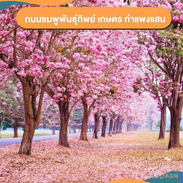 泰國佛統短途旅行攻略出爐！給身心放個假