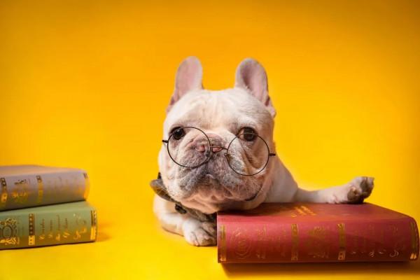 20個幽默短句，有趣有品，韻味十足！