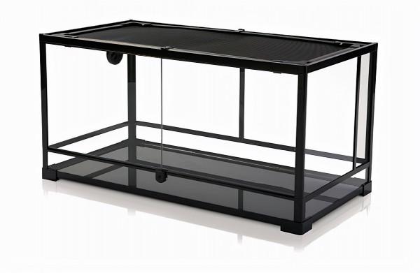 鬃獅蜥新手入門飼養指南