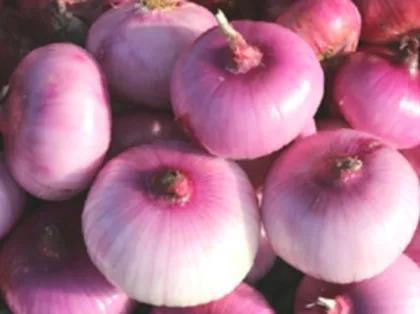 哪些食物不應放在冰箱裡？