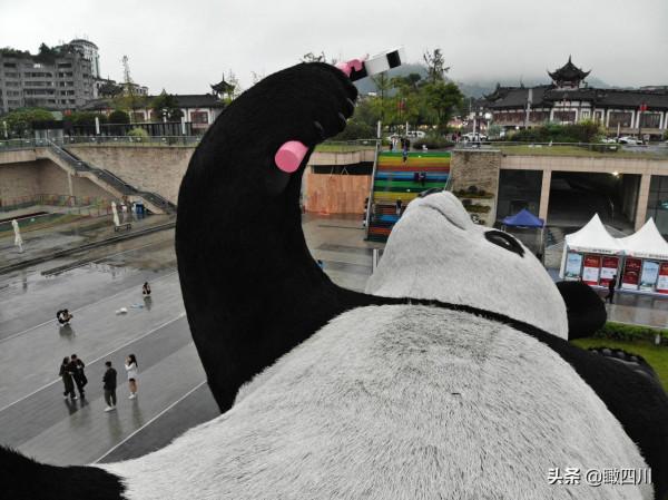 “大黃鴨之父”在中國建了座全球最重大熊貓雕塑:130噸重26米長 “大黃鴨之父”在中國建了座全球最重大熊貓雕塑:130噸重26米長