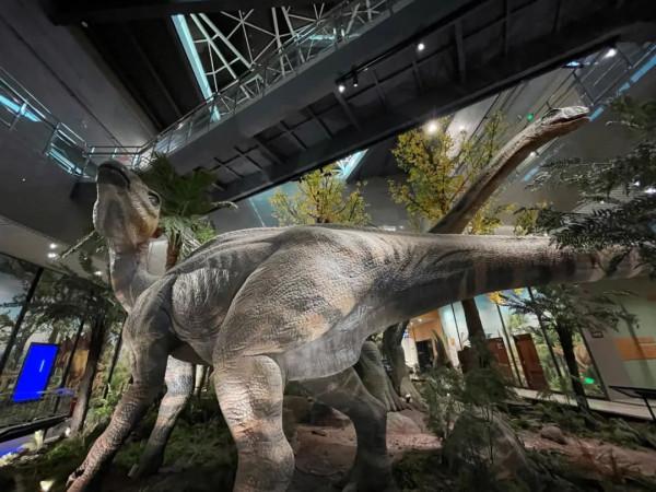 今天,邀請你一起去湖南省地質博物館,看萬物征途 今天,邀請你一起去湖南省地質博物館,看萬物征途