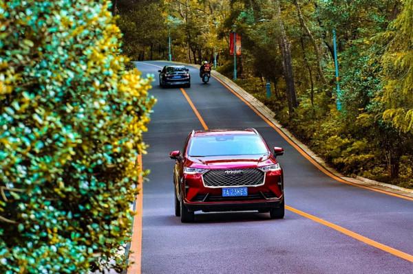 11月的南京,美齡宮就成了秋冬美景的天花板 11月的南京,美齡宮就成了秋冬美景的天花板