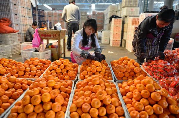 柑價漲幅50%，商販搶購，陳皮飆漲至150元，可入手“新皮”嗎？