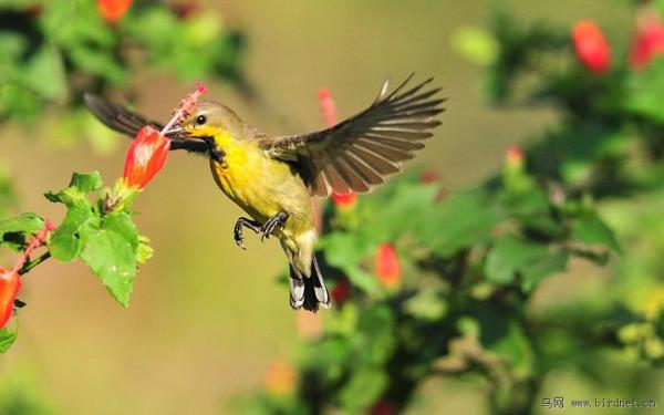 國內旅遊那些出名的打卡地