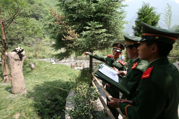 我和國寶大熊貓的N次親密接觸