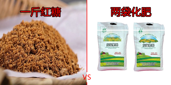 聽說一斤紅糖可以頂兩袋化肥,是偏方還是謠言,有什麼科學依據? 聽說一斤紅糖可以頂兩袋化肥,是偏方還是謠言,有什麼科學依據?