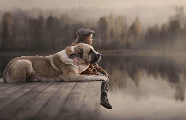 人類幼崽與貓狗能同時養嗎？