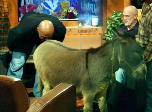 NBA的那些奇聞異事 NBA的那些奇聞異事