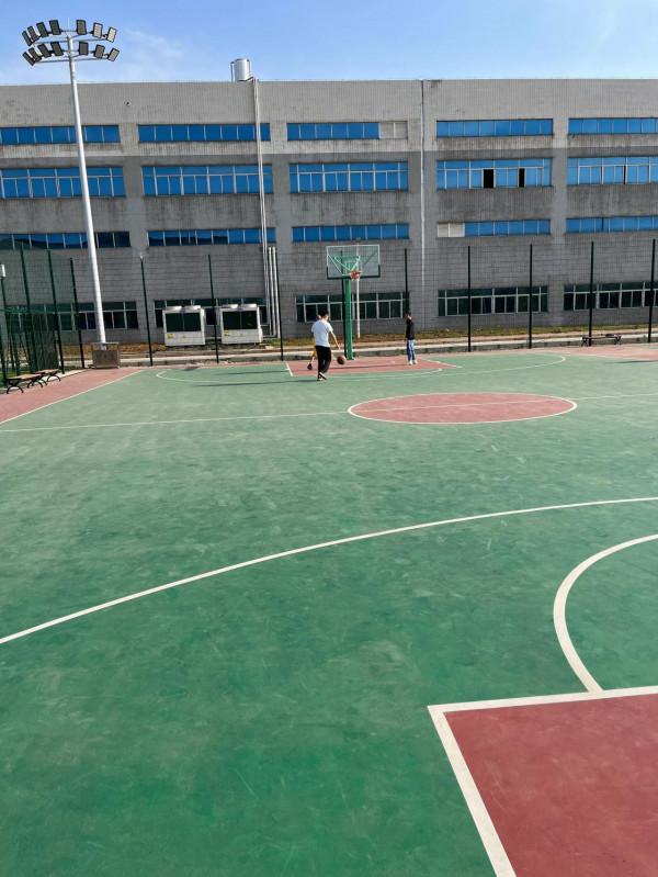 規律運動,永遠基極向上 規律運動,永遠基極向上