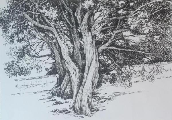 幸福原創畫吧2021年第四十二期畫友繪畫作品分享