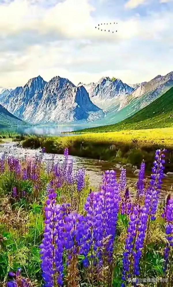 美好的東西分享給大家，特別是第十一張