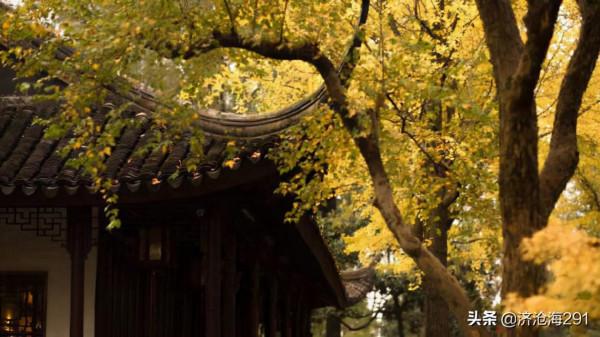 一首臨江仙，哀婉靈動，被譽為納蘭詞的壓卷之作