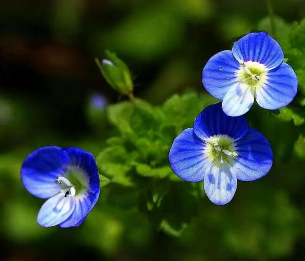 與人交往：別做這3件事，是大智慧