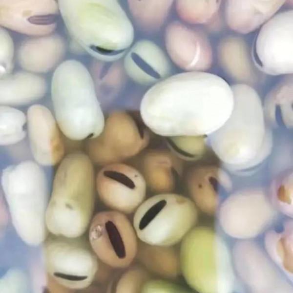 新年必備的零食清單，寓意大吉大利，財源廣進