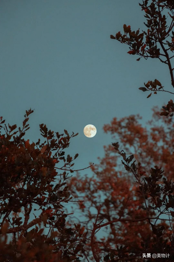 中秋：願人長久，月常圓