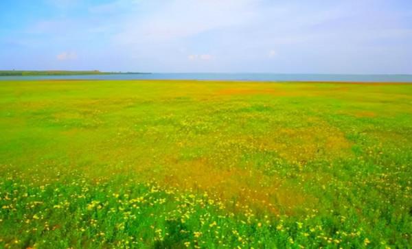 美麗的神湖紅鹼淖，大自然傑出的創作