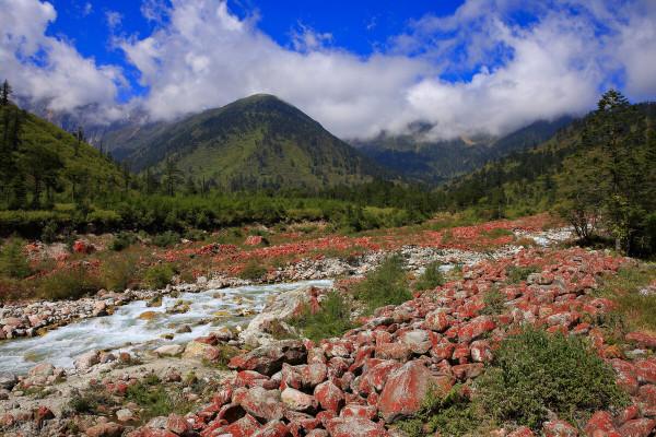 川西秘境，冬季玩雪聖地，銀裝素裹的燕子溝，美不勝收