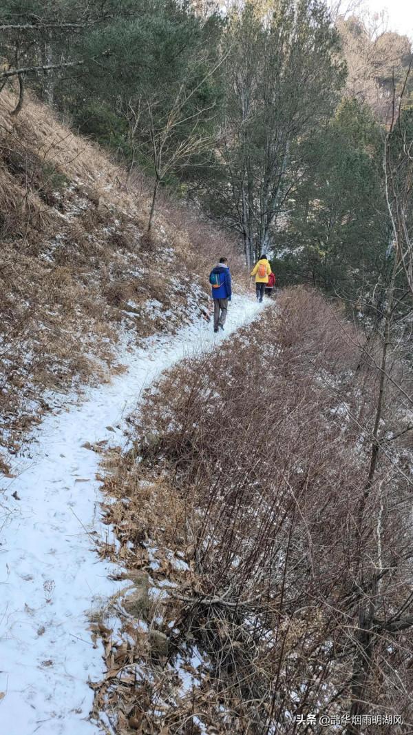 新年徒步，意外收穫，泰山雲海仙境