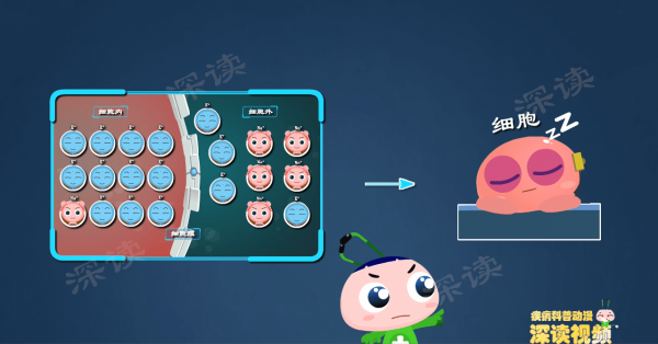 胳膊腿為啥沒力?躺著不動也心亂跳?動漫揭秘高鉀血癥致死全過程 胳膊腿為啥沒力?躺著不動也心亂跳?動漫揭秘高鉀血癥致死全過程